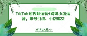 TikTok短视频运营+跨境小店运营,账号引流、小店成交-网赚项目众筹网