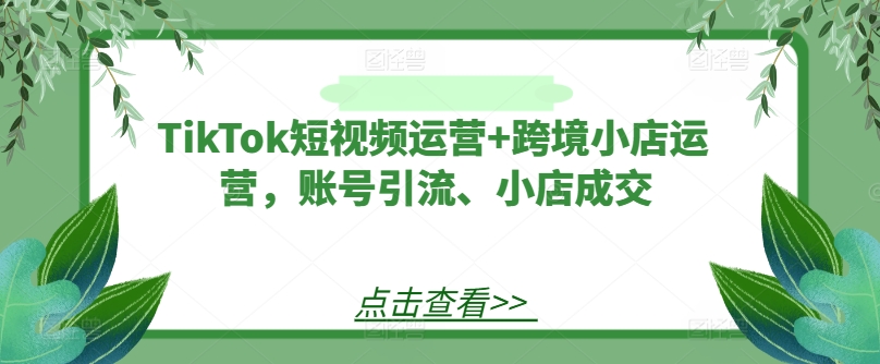 TikTok短视频运营+跨境小店运营，账号引流、小店成交-网赚项目众筹网