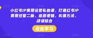 小红书IP变现运营私教课,打通红书IP变现任督二脉,底层逻辑、实操方法、战训结合-网赚项目众筹网
