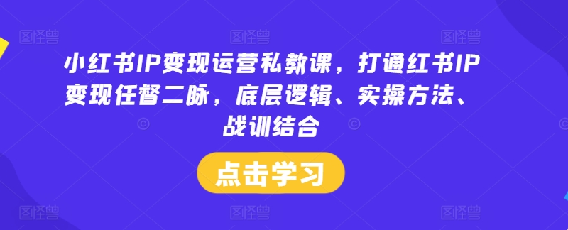 小红书IP变现运营私教课，打通红书IP变现任督二脉，底层逻辑、实操方法、战训结合-网赚项目众筹网