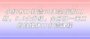小红书IP打造60天实战营11期，5.0大升级，全网独一无二的自媒体IP打造课程-网赚项目众筹网