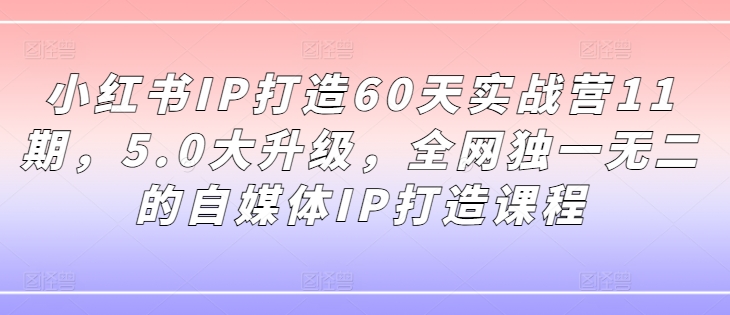 小红书IP打造60天实战营11期，5.0大升级，全网独一无二的自媒体IP打造课程-网赚项目众筹网