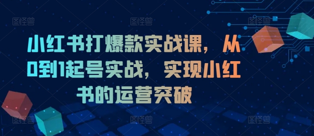 小红书打爆款实战课，从0到1起号实战，实现小红书的运营突破-网赚项目众筹网