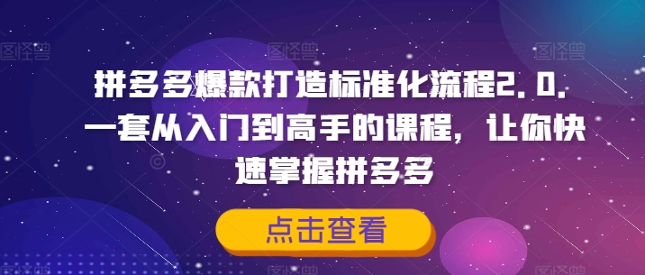 拼多多爆款打造标准化流程2.0，一套从入门到高手的课程，让你快速掌握拼多多-网赚项目众筹网