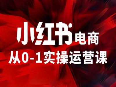 小红书电商从0-1实操运营课，让你从小白到精英-网赚项目众筹网