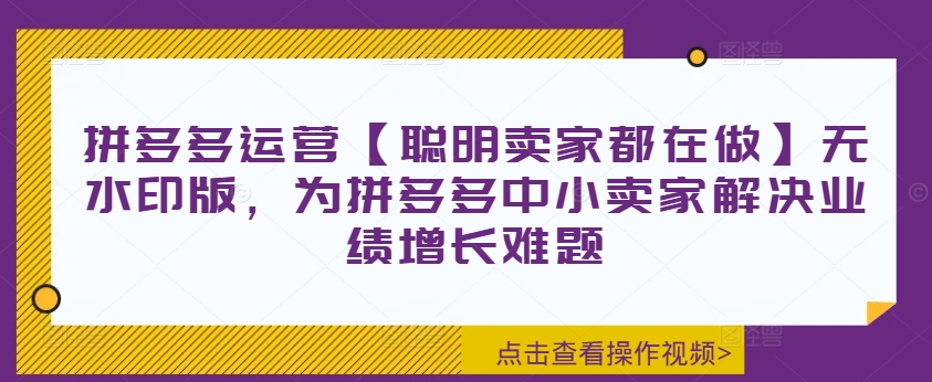 拼多多运营【聪明卖家都在做】无水印版，为拼多多中小卖家解决业绩增长难题-网赚项目众筹网