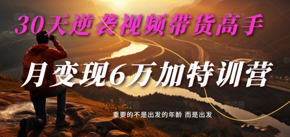 30天逆袭视频带货高手，单月变现6万加特训营-麦子甜-网赚项目众筹网