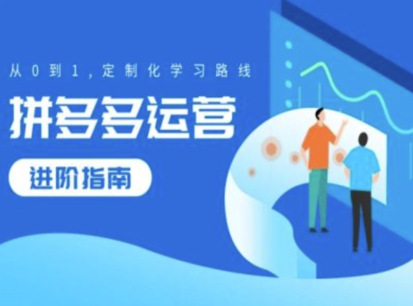 拼多多运营进阶指南，从0到1定制化学习路线-网赚项目众筹网