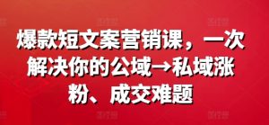 爆款短文案营销课，一次解决你的公域→私域涨粉、成交难题-网赚项目众筹网