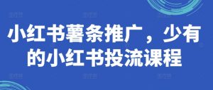 小红书薯条推广,少有的小红书投流课程-网赚项目众筹网