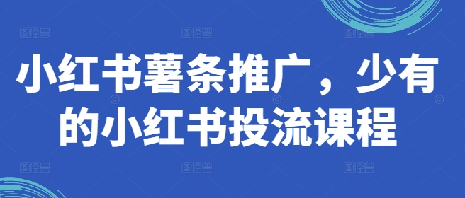 小红书薯条推广，少有的小红书投流课程-网赚项目众筹网