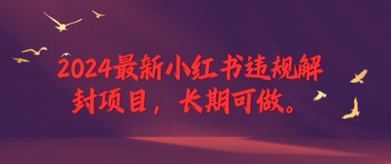 2024最新小红书违规解封项目，长期可做，一个可以做到退休的项目【揭秘】-网赚项目众筹网