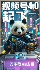 梅花实验窒微信视频号连怼玩法技巧起飞4.0一键AB破解版【揭秘】-网赚项目众筹网