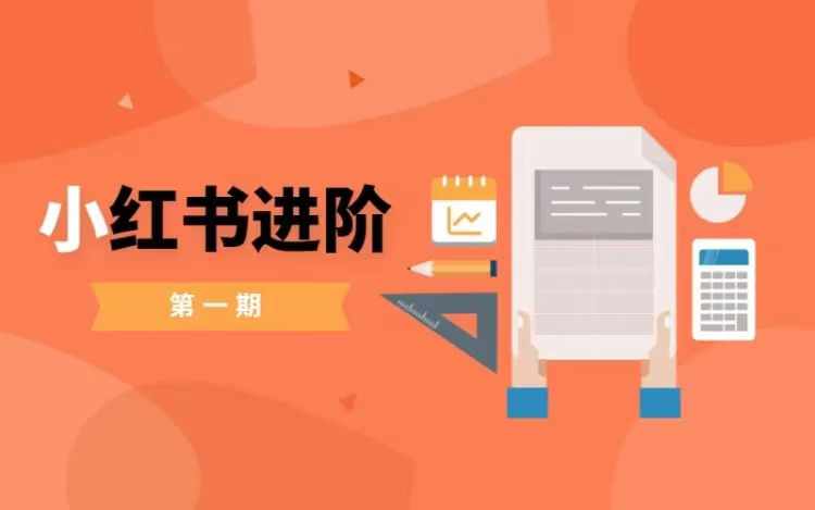 小红书进阶篇，零基础小白实战课，普通人变现的课程-网赚项目众筹网