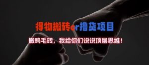 得物搬砖撸货项目?掰下数据,我给你们说说顶层思维【揭秘】-网赚项目众筹网