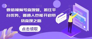 微信视频号变现营,抓住平台优势,普通人也能开启带货变现之路-网赚项目众筹网