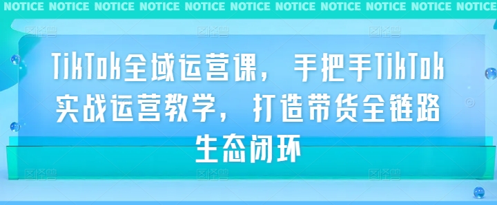 TikTok全域运营课，手把手TikTok实战运营教学，打造带货全链路生态闭环-网赚项目众筹网