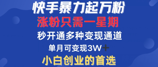 快手暴力起万粉，涨粉只需一星期，多种变现模式，直接秒开万合，单月变现过W【揭秘】-网赚项目众筹网