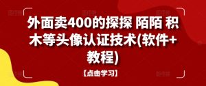 外面卖400的探探 陌陌 积木等头像认证技术(软件+教程)-网赚项目众筹网