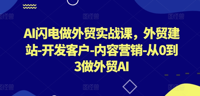 AI闪电做外贸实战课，​外贸建站-开发客户-内容营销-从0到3做外贸AI（更新）-网赚项目众筹网