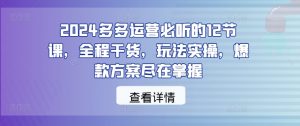 2024多多运营必听的12节课,全程干货,玩法实操,爆款方案尽在掌握-网赚项目众筹网