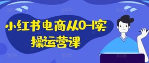 小红书电商从0-1实操运营课，小红书手机实操小红书/IP和私域课/小红书电商电脑实操板块等-网赚项目众筹网