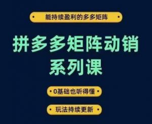 拼多多矩阵动销系列课，能持续盈利的多多矩阵，0基础也听得懂，玩法持续更新-网赚项目众筹网