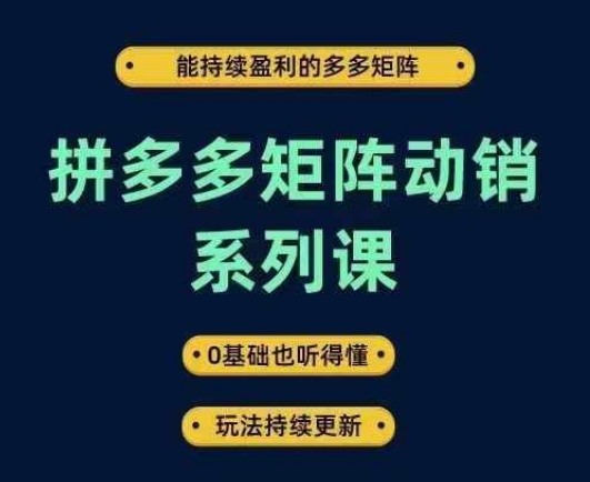 拼多多矩阵动销系列课，能持续盈利的多多矩阵，0基础也听得懂，玩法持续更新-网赚项目众筹网