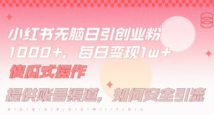小红书无脑每日引流创业粉500+,小白每天只花半小时,躺赚长尾收益【揭秘】-网赚项目众筹网
