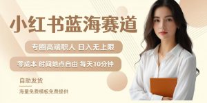 小红书蓝海赛道，圈中高端职场人，月入无上限，可矩阵，内含私域实操教程!-网赚项目众筹网