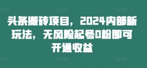 头条搬砖项目,2024内部新玩法,无风险起号0粉即可开通收益-网赚项目众筹网