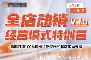 全店动销经营模式特训营，指哪打哪100%精准拉新保姆式起店实操课程-网赚项目众筹网