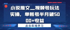 小说推文—视频号玩法实操，单账号半月破5000+收益-网赚项目众筹网