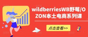 wildberriesWB野莓/OZON本土电商系列课，掌握WB产品优化，出单技巧和订单处理等-网赚项目众筹网