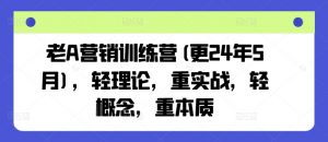 老A营销训练营(更24年9月)，轻理论，重实战，轻概念，重本质-网赚项目众筹网