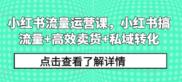 小红书流量运营课，小红书搞流量+高效卖货+私域转化-网赚项目众筹网