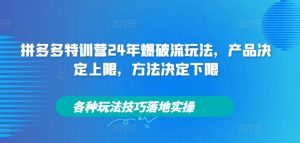 拼多多特训营24年爆破流玩法,产品决定上限,方法决定下限,各种玩法技巧落地实操-网赚项目众筹网