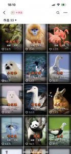 动物科普解说项目，撸创作者伙伴计划收益，保姆级实战教程-网赚项目众筹网