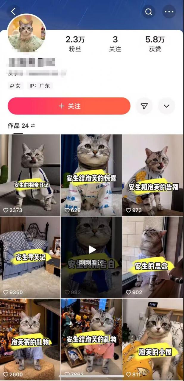快手MT搬运技术，一比一搬运不剪辑，剧情可用，条条同框-网赚项目众筹网