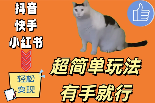 超简单玩法，有手就行，靠猫咪视频日入500+【揭秘】-网赚项目众筹网