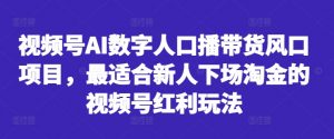 视频号AI数字人口播带货风口项目,最适合新人下场淘金的视频号红利玩法-网赚项目众筹网
