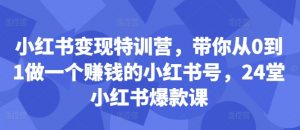 小红书变现特训营,带你从0到1做一个赚钱的小红书号,24堂小红书爆款课-网赚项目众筹网