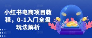 小红书电商项目教程,0-1入门全盘玩法解析-网赚项目众筹网