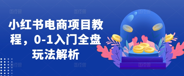 小红书电商项目教程，0-1入门全盘玩法解析-网赚项目众筹网