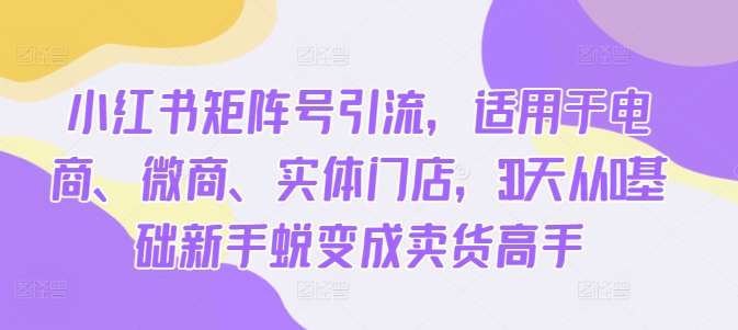 小红书矩阵号引流，适用于电商、微商、实体门店，30天从0基础新手蜕变成卖货高手-网赚项目众筹网