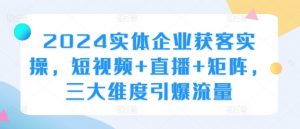 2024实体企业获客实操,短视频+直播+矩阵,三大维度引爆流量-网赚项目众筹网