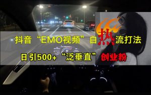 抖音EMO视频自热打法,日引500+“泛垂直”创业粉-网赚项目众筹网