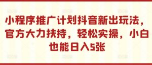 小程序推广计划抖音新出玩法,官方大力扶持,轻松实操,小白也能日入5张【揭秘】-网赚项目众筹网