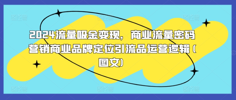 2024流量吸金变现，商业流量密码营销商业品牌定位引流品运营逻辑(图文)-网赚项目众筹网