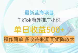 最新蓝海项目,利用tiktok海外推广小说赚钱佣金,简单易学,日入500+,可矩阵放大【揭秘】-网赚项目众筹网